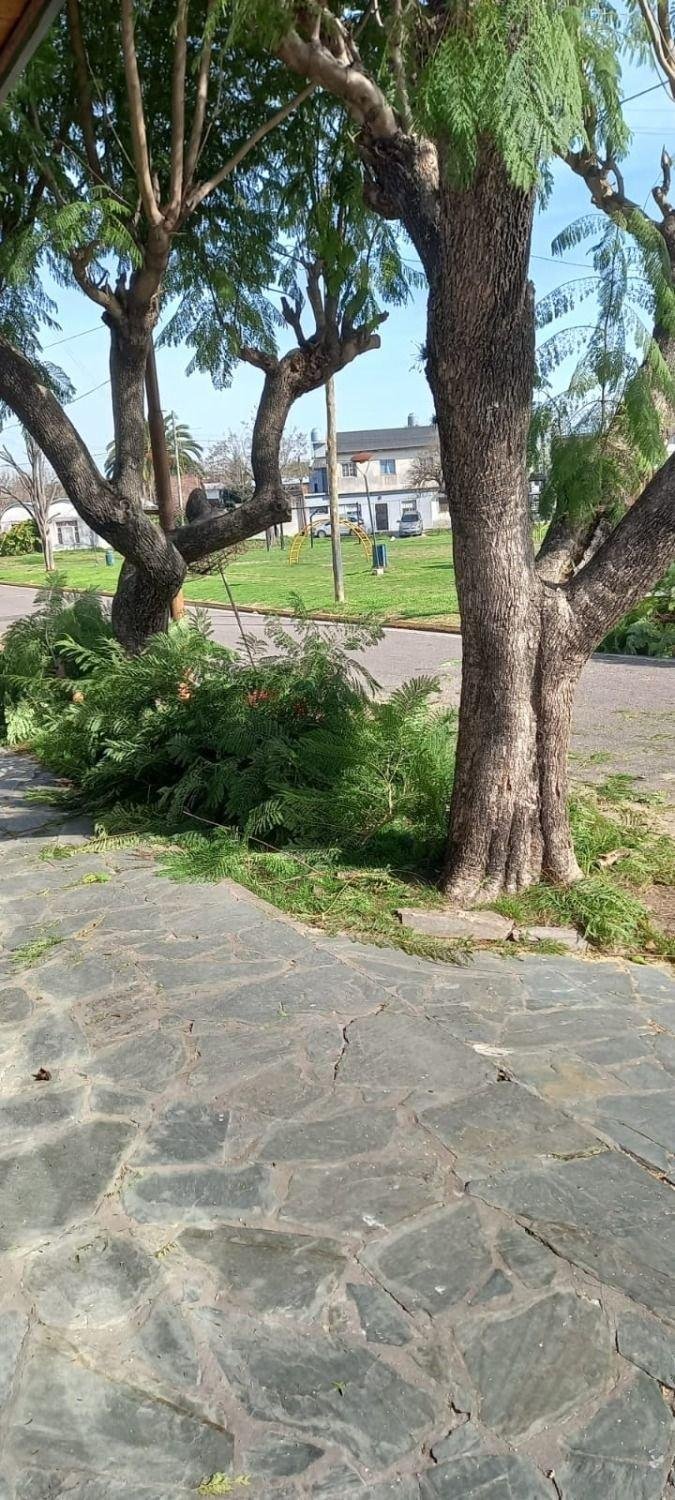 Queja por la poda en Barrio Jardín