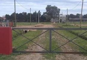 Golpe armado en un barrio cerrado de La Plata