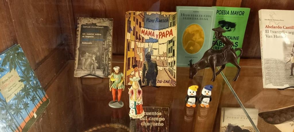 Liberan libros de la biblioteca privada de un intelectual platense