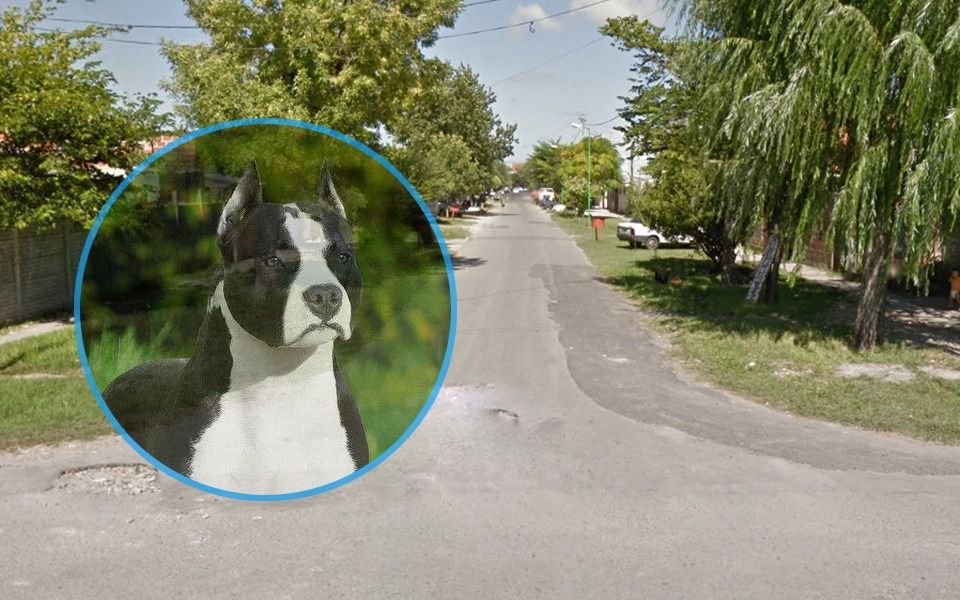 Cruel ataque de un pitbull a una embarazada y su familia en La Plata