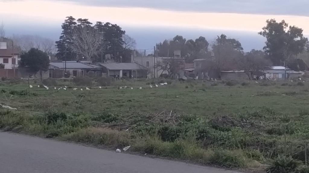 Otro foco de tensión en Villa Elvira por la usurpación de terrenos