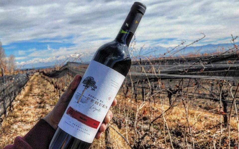 Falta menos para la Expo Vinotecas 2023 de La Plata: cómo disfrutar de un vino, según la Finca El Pehuén