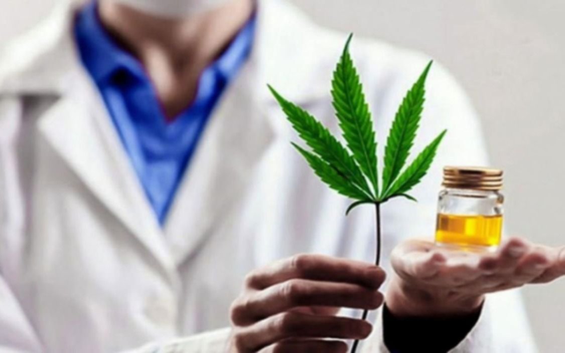 Reglamentan la ley de Cannabis Medicinal: todos los detalles