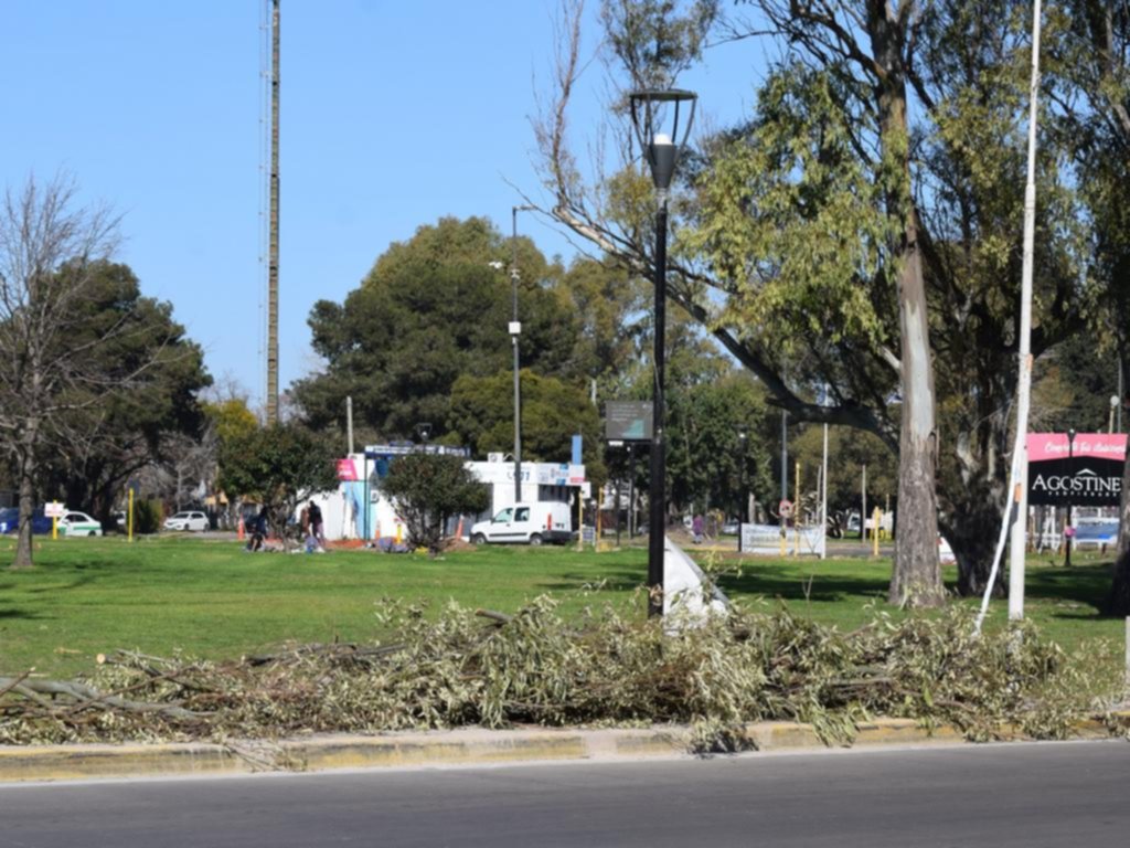 Reclaman por la tala de árboles en 32 y 120