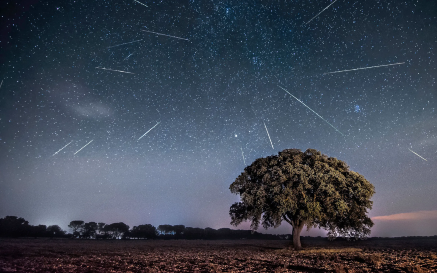 El cielo de agosto tendrá su Lluvia de Perseidas: cómo verlo