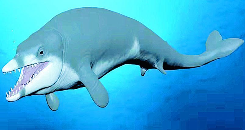 Hallan en el desierto de Egipto una nueva especie de ballena extinta