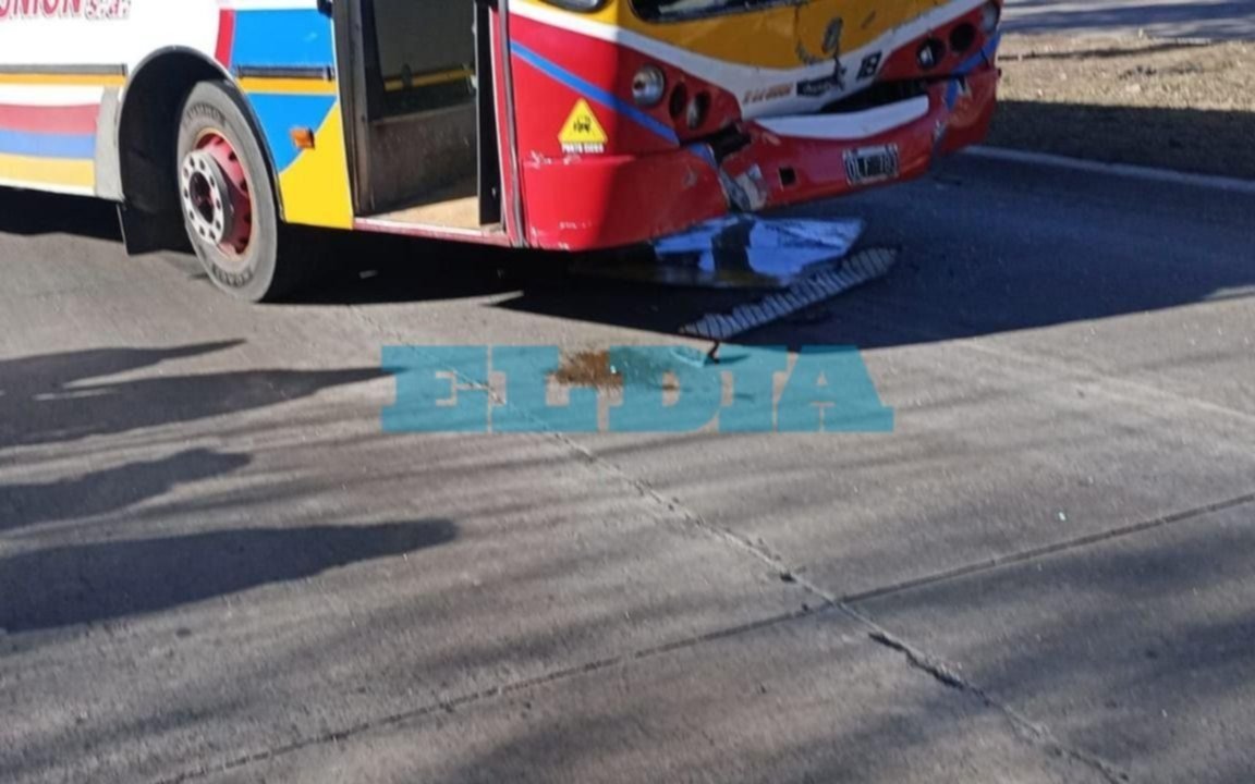 Fuerte choque involucró a un micro y a un potrillo en Berisso