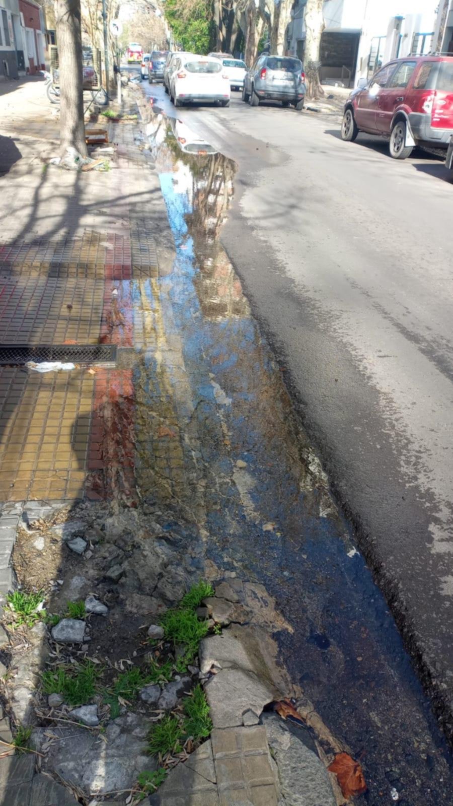 Enorme pérdida de agua a metros del parque Saavedra