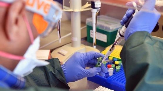 Otra vez el Covid...: hay una nueva variante en el país