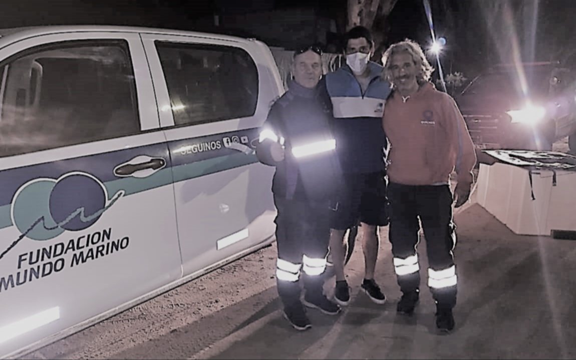 Rescatan un lobo marino joven de las costas quilmeñas