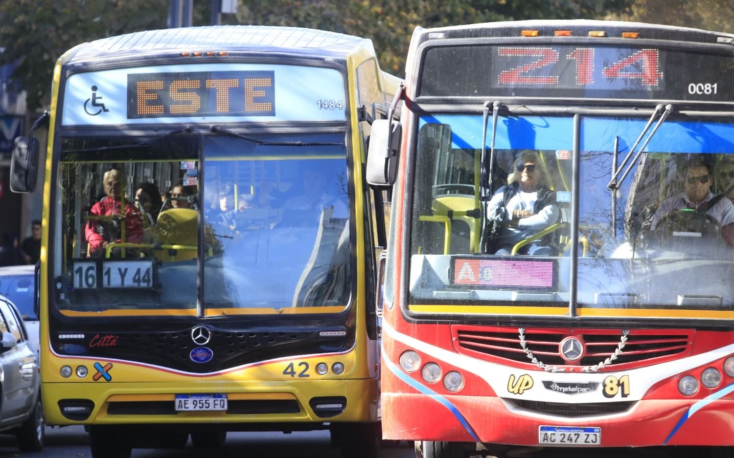 Micros y trenes: cuánto costará en La Plata el transporte público con el próximo aumento