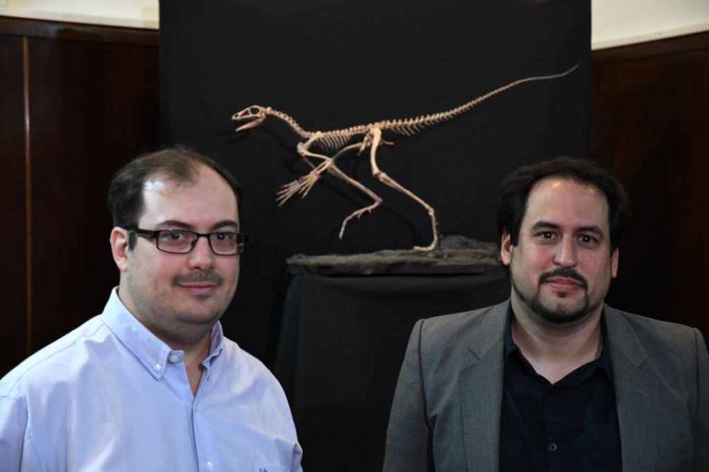 Inédito hallazgo: descubren al ancestro de los reptiles voladores