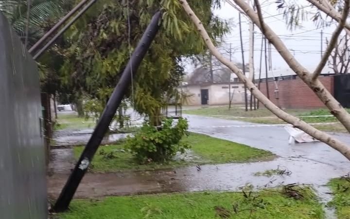 Se viraliza un mensaje de WhatsApp por un "corte de luz masivo" en La Plata: qué dijo Edelap