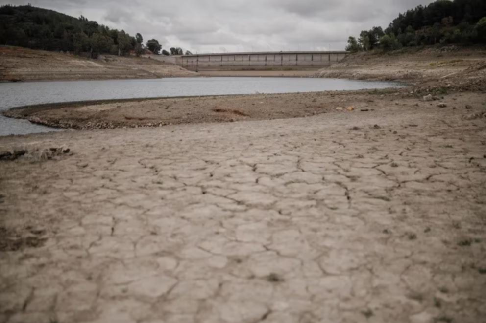 Crisis climática: el impacto del estrés hídrico