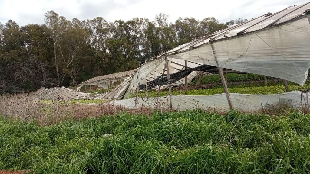 Sobre llovido... nuevos daños en el cinturón florihortícola local
