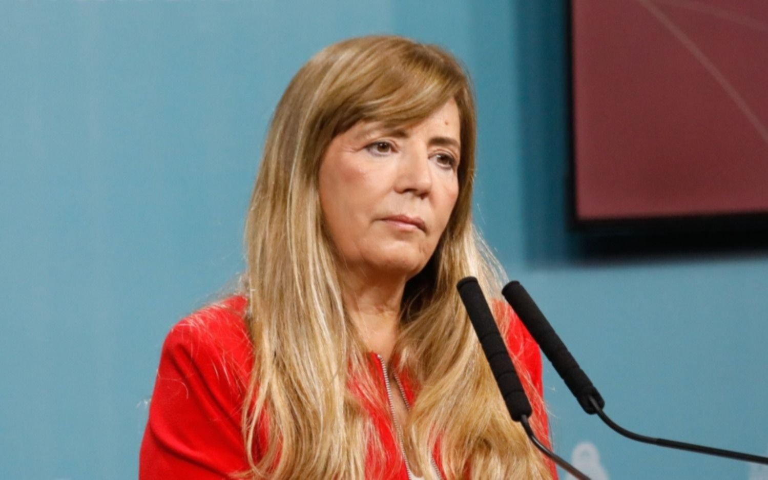 Cerruti volvió a vincular a Milei con los saqueos y sumó a Bullrich: "Debe tener añoranzas del 2001 que ella protagonizó"