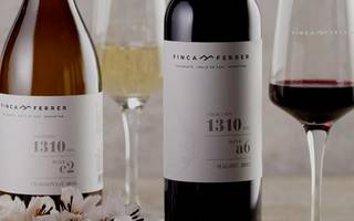 VIDEO. Expo Vinotecas 2023 contará con Freixenet, pioneros en la elaboración de espumantes, y Finca Ferrer