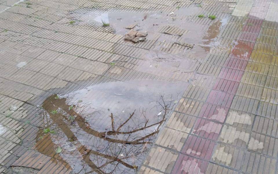 Una pérdida de agua lleva más de un mes en un barrio de La Plata