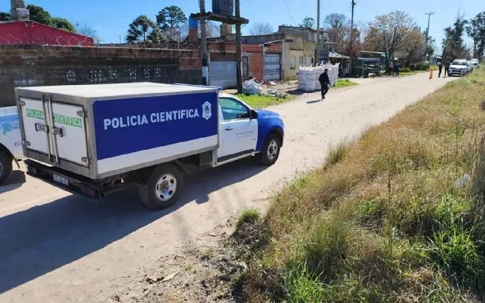 Horror en Mar del Plata: un perro encontró restos de un bebé recién nacido
