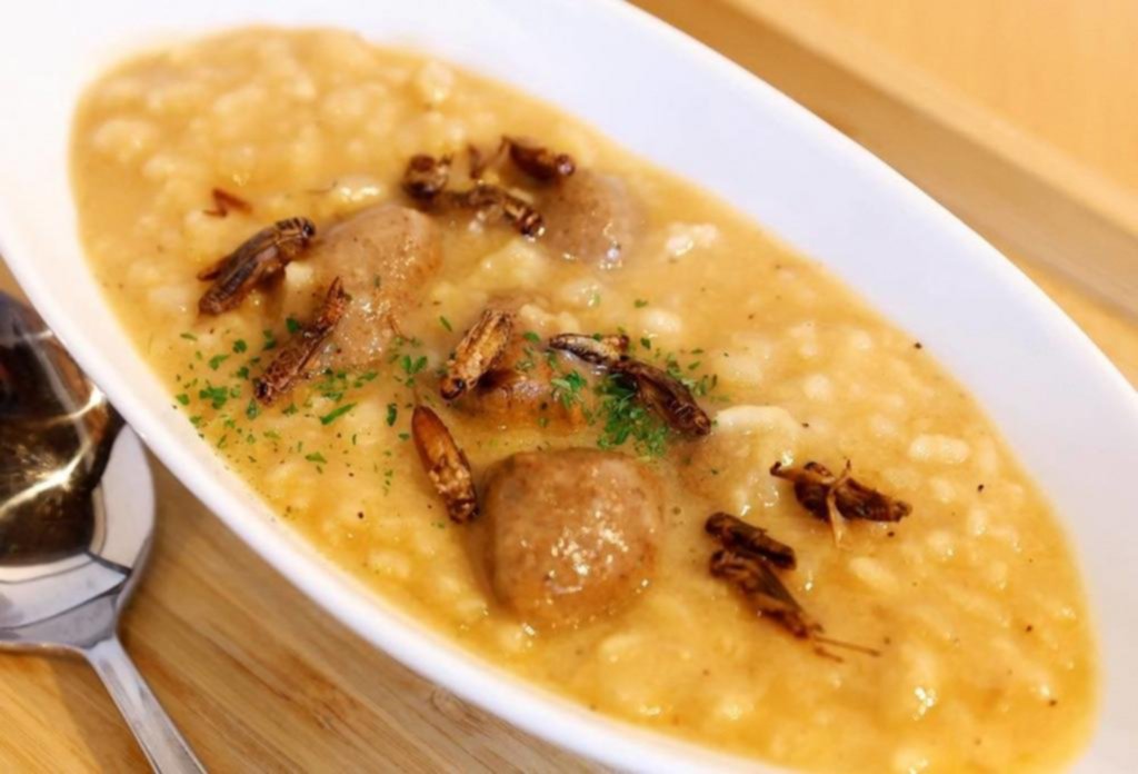 Grillos al curry, el plato de moda en Japón