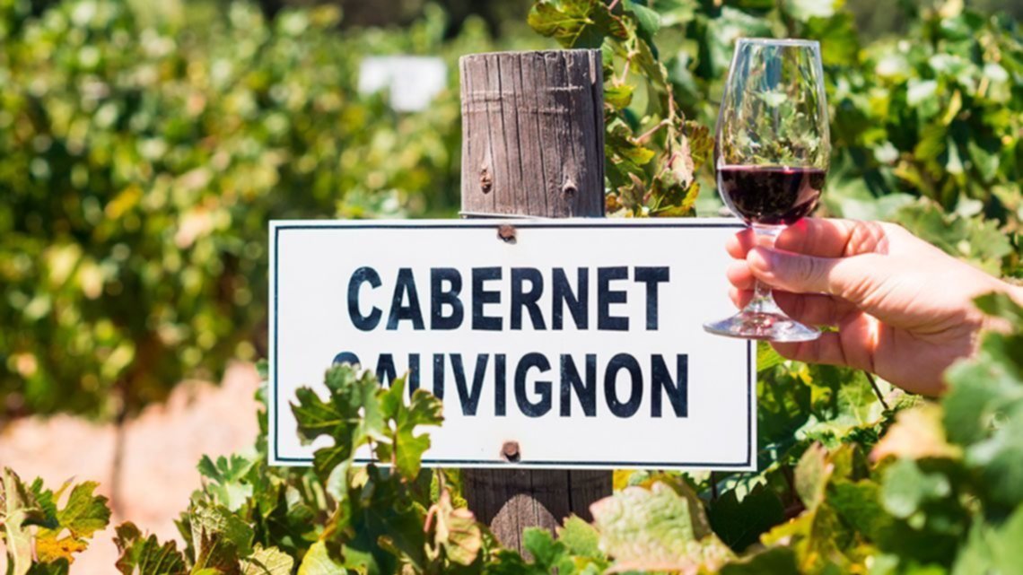 Se celebra el Día Internacional del Cabernet Sauvignon 