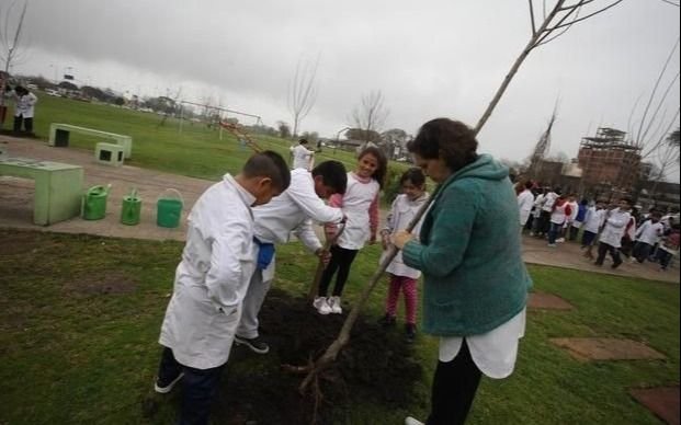 Meridiano V celebrará una jornada de Forestación por el "Día del Árbol"