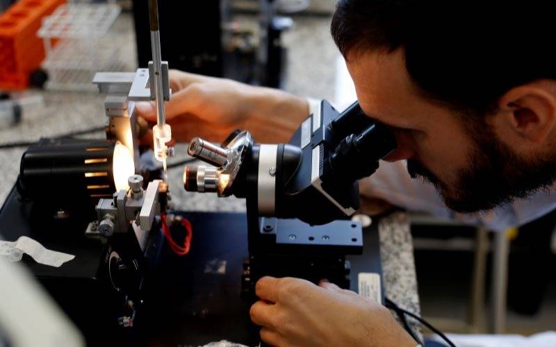 Nuevos proyectos científicos de la UNLP tendrán financiamiento para resolver problemáticas sociales en la Provincia