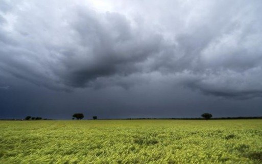 ¿Cuándo llega El Niño a Argentina? Si bien juega al misterio, falta poco y advierten por abundantes lluvias
