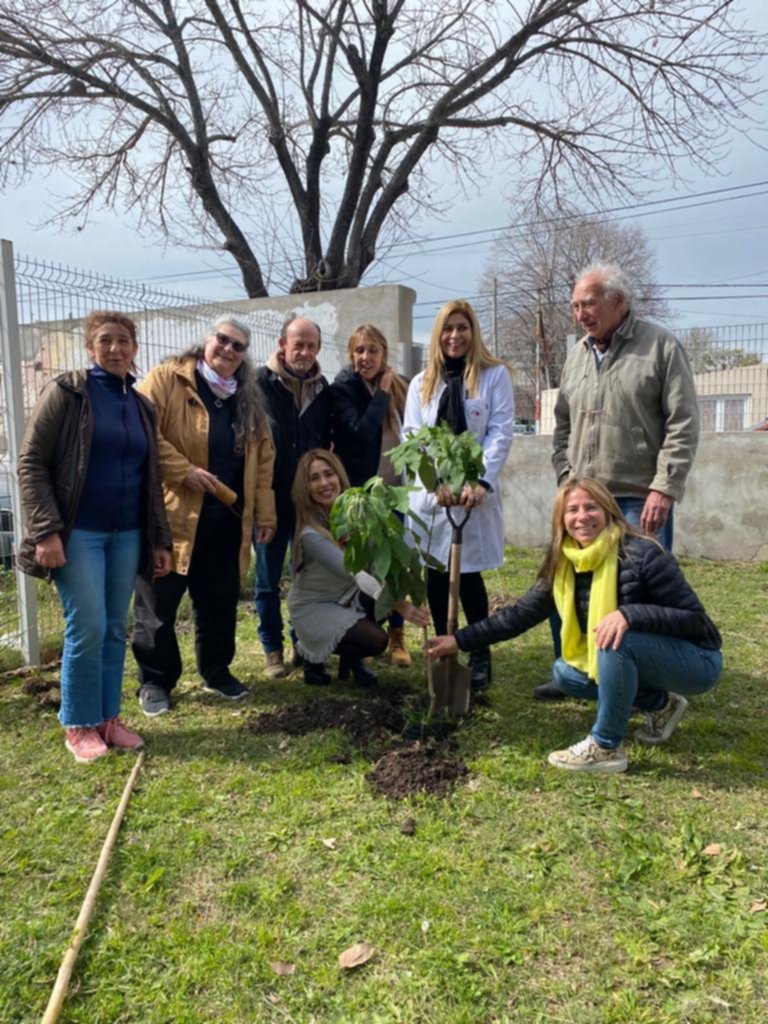 Día del árbol en La Plata: “Plantar árboles es dar vida”