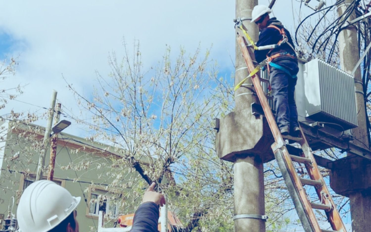 Una escuela estuvo sin clases por falta de luz y un problema eléctrico dejó sin agua a una zona de La Plata