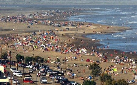 Por casos de gripe aviar en lobos marinos, restringen el acceso a las playas de Viedma