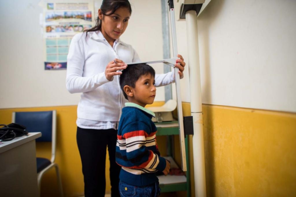 Malnutrición infantil: detectan atraso de crecimiento en chicos