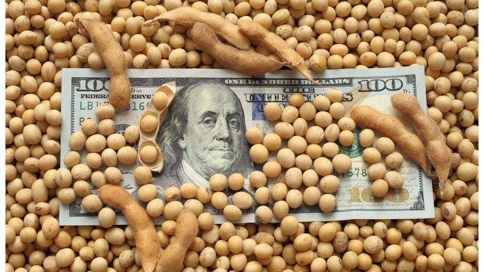 La soja registró el precio más bajo de los últimos 18 años: el impacto en la economía del país