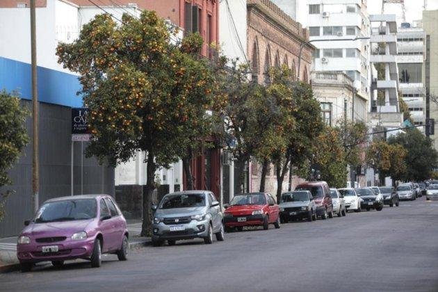 Convocan a otra cosecha solidaria de naranjas de la calle para dulce