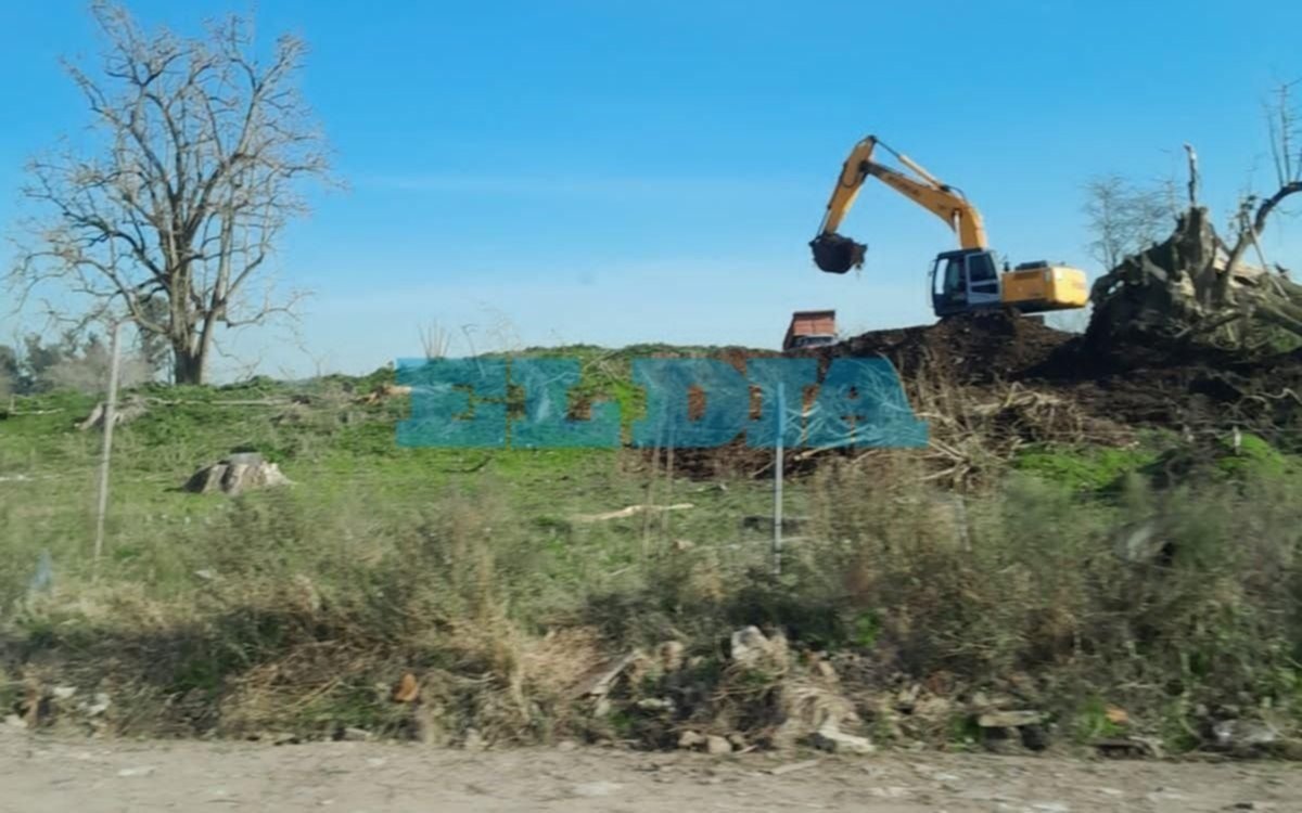 Denuncian que conviven con el humo y "no se puede respirar" por las quemas en un basural, en Sicardi