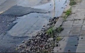 Vecinos de La Plata, cansados de reclamar por una pérdida de agua: "Nadie nos da una solución"