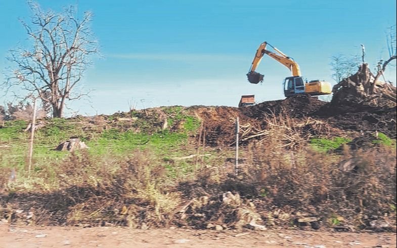 Denuncian quema en un basural de Arana