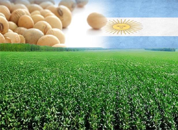 Especular con la soja, un error de cálculo que puede costarle cientos de millones de dólares al campo y al país