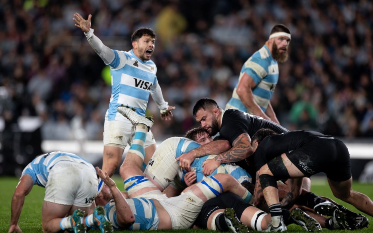 Los Pumas esta vez no pudieron con los All Blacks y cayeron por amplio margen en Nueva Zelanda