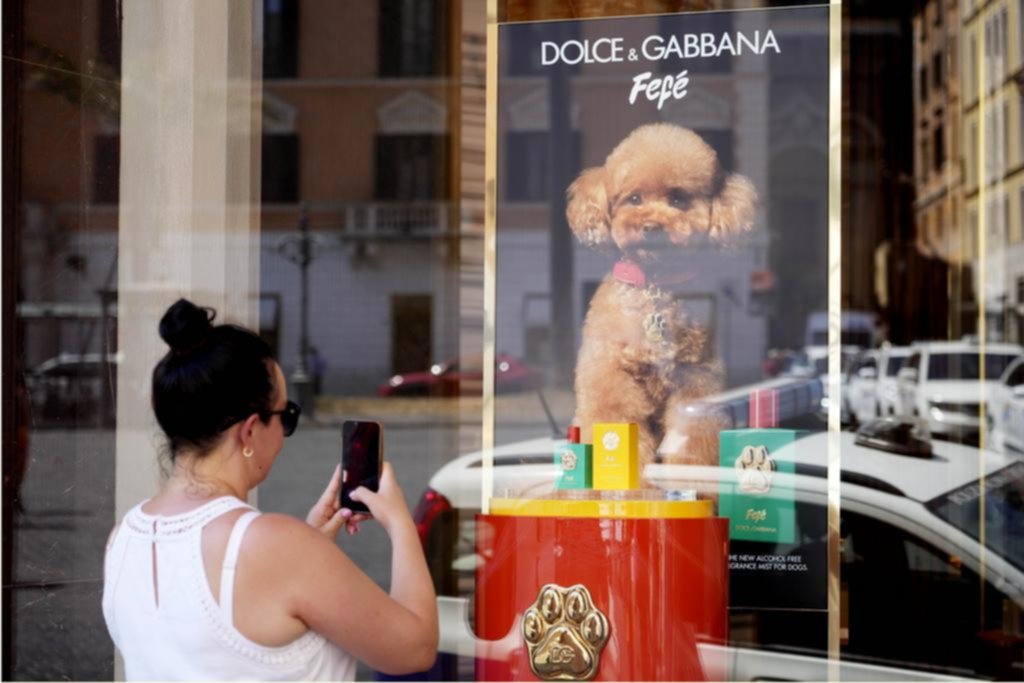 ¡Qué paquetería, Fefé! El nuevo perfume de D&G para pichichos
