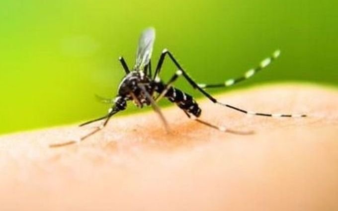 Adelantan que se viene un brote de dengue muy grave que será “desquiciante para la gente”