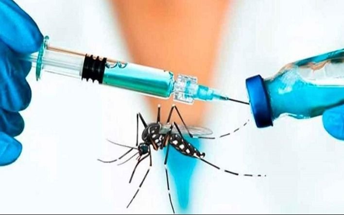 Vacuna contra el dengue: el "error" que advierte Marta Cohen, prestigiosa médica de La Plata