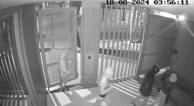 Golpes, sangre y un final cruel: la “viuda negra” que casi mata en La Plata