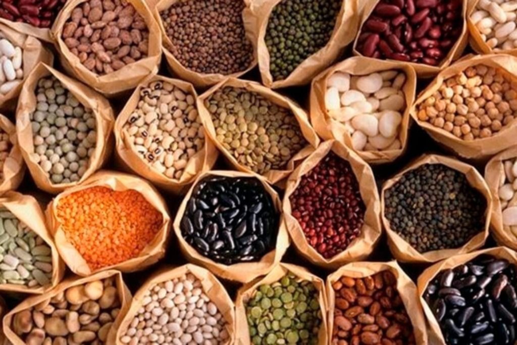 Intercambio de semillas en Villa Elisa “por la soberanía alimentaria”