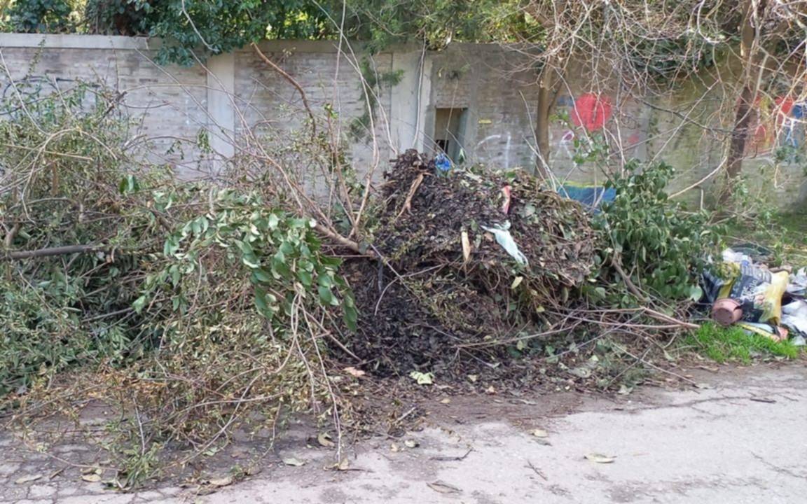 Villa Elisa reclama por falta de higiene en el barrio: “Vivimos entre ratas y mugre”