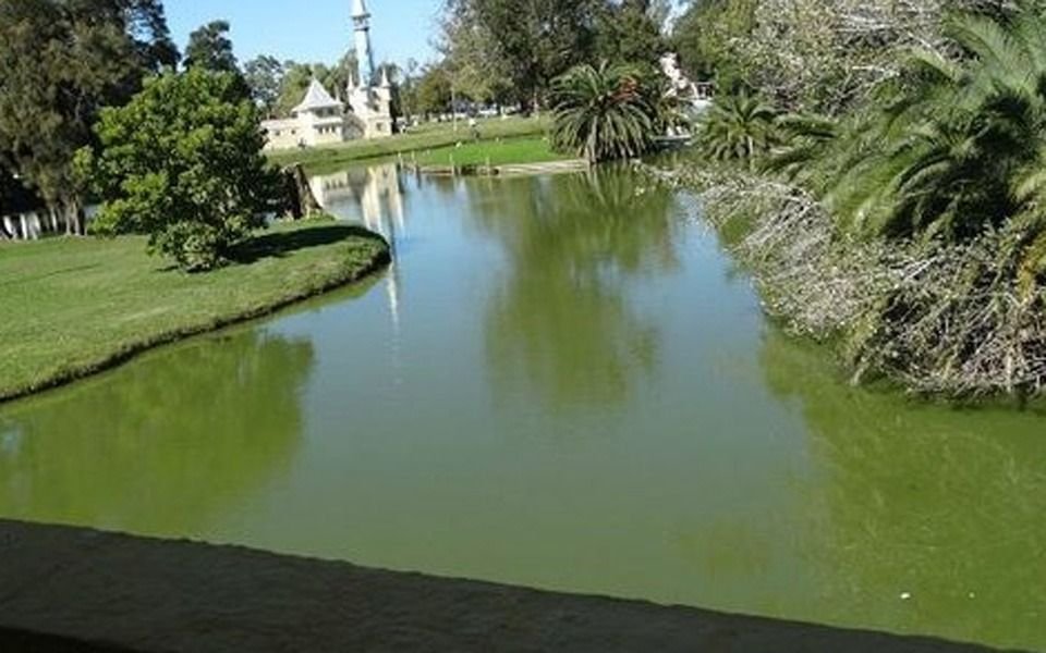 Cianobacterias: el lago de la República de los Niños sigue en "alerta rojo"
