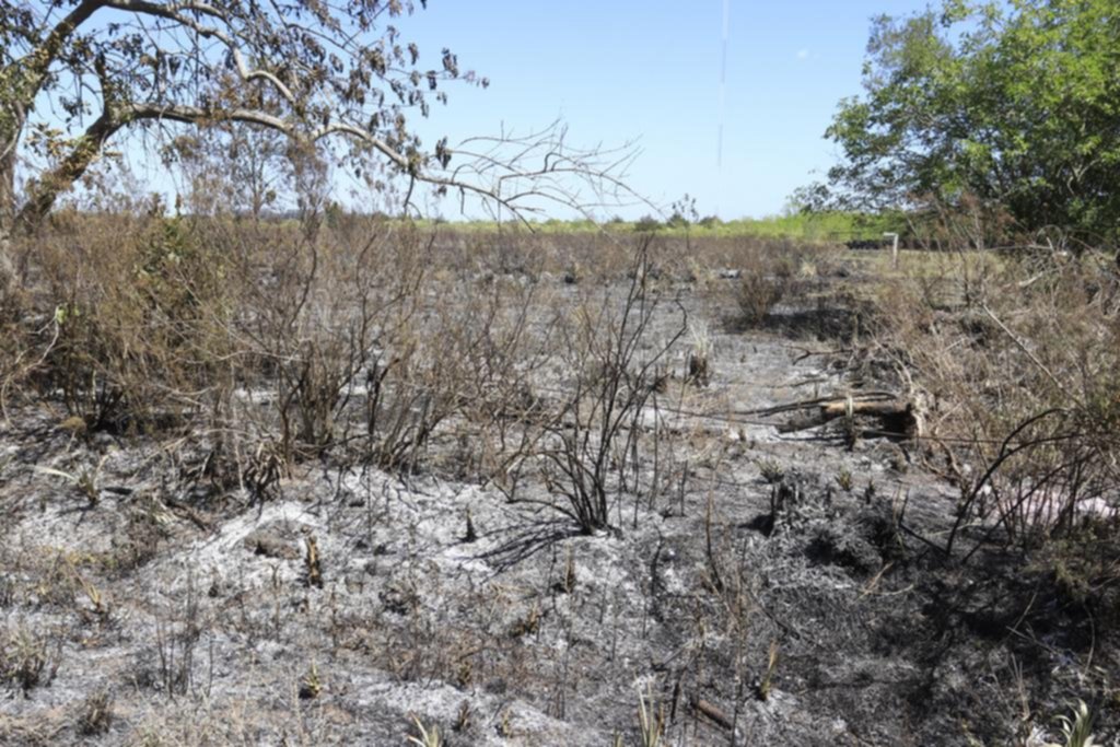 La Niña de Primavera: el clima que se viene y los desafíos que plantea al sector productivo