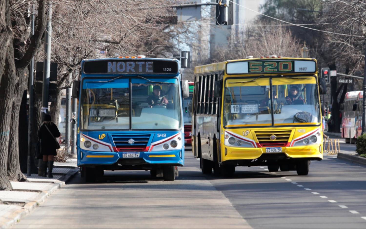Sigue la crisis del transporte: nueva alerta de las cámaras empresarias de colectivos 