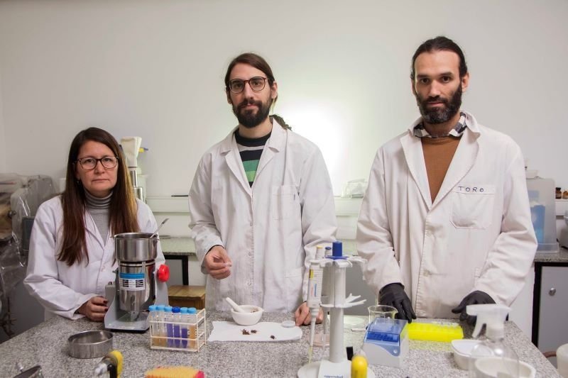 Harina de grillos, el súper alimento con alto nivel proteico que se produce en la UNLP