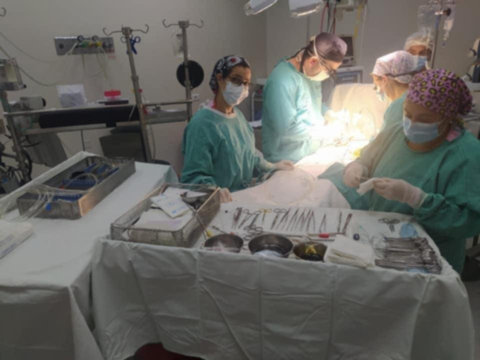 Empezó la protesta de 48 horas de los cardiólogos intervencionistas: sólo atienden urgencias